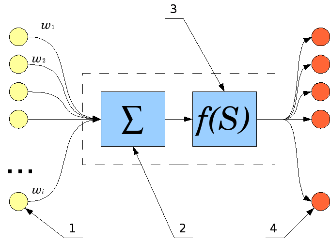 Structure of a Neuron