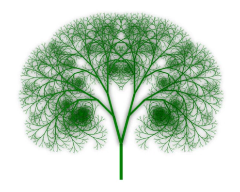 Final Fractal Tree